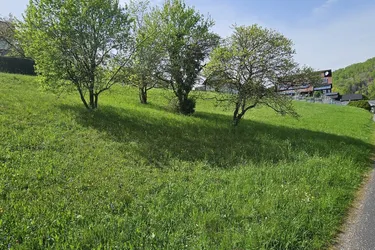 10 Min von Graz - großzügiges, sonniges, Grundstück in leichter Hanglage