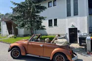MARIAZELLER LAND - ST. SEBASTIAN - Wohnung mit netter "Erkerküche", drei Schlafzimmer und Parkplatz!