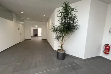 Klimatisiertes, helles Großraumbüro im BIZ Kapfenberg ab sofort! Top 205 - provisionsfrei!