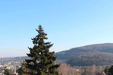 BELLEVUE- PROJEKT - WOHNEN AM WOLFERSBERG