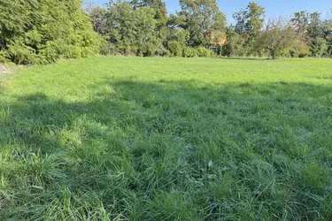 WIDMUNG GRÜNLAND PARK - GRUNDSTÜCK - ANLAGE