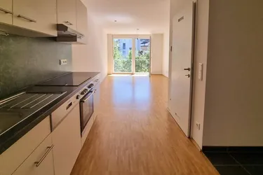 2-Zimmerwohnung mit12m² Terrasse | PROVISIONSFREI | ab 01. Oktober 2025