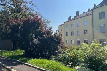 Paradies am Römerberg mit 3Zimmer und 84m2-Top Lage, helle Räume, Balkon, Garage
