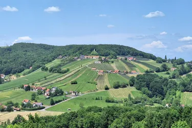 Touristisch ausgewiesenes Betriebsbauland in Waltra, St. Anna am Aigen Südoststeiermark - 110.456m² zum Kauf !