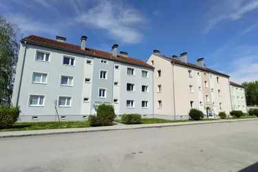 Amstetten, 1 Zimmer, 40m² / 00040 00083