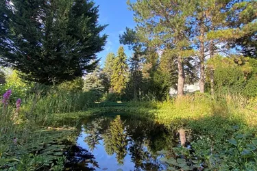 charmantes Einfamilienhaus mit gr. Garten und Schwimmteich in ruhiger Lage von 1220 Wien (mit Erweiterungsmöglichkeit)
