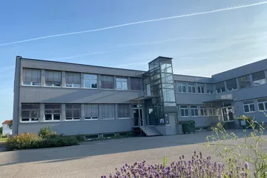 920m² Moderne Büroflächen in Toplage von Wiener Neustadt – provisionsfrei zu mieten