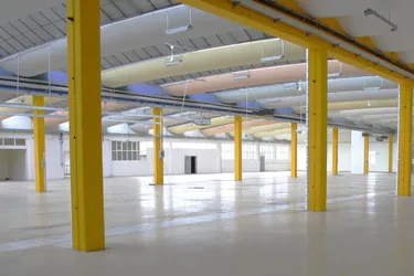 1.776m² Helle Lagerhalle – provisionsfrei direkt vom Eigentümer