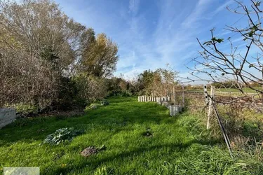 Exklusives Traumgrundstück für Ihr Eigenheim in Neusiedl am See