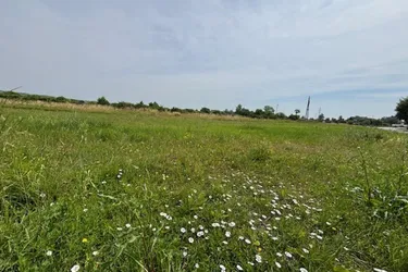 sonniges Baugrundstück in ruhiger Lage in Purbach