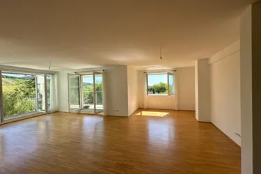 PROVISIONSFREI! 150m² Luxus-Wohntraum mit Weitblick in 1190 Wien