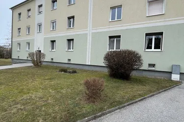 Lichtdurchflutet, praktisch geschnitten: 2-Zimmer-Wohnung mit Tageslichtbad mit fairer Miete
