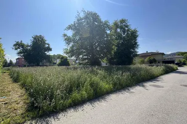 Baugrundstück in beliebtester Wohnlage