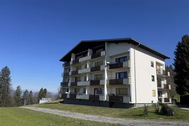 1-Zimmer-Appartement in ruhiger Berglage