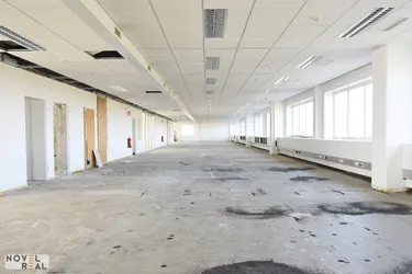 Moderne Gewerbefläche in Wiener Neudorf