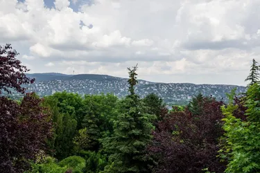 Wohnbau-Grundstück im 12. Bezirk von Budapest zu verkaufen