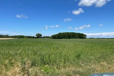 Für PV-Zwecke geeignete Grundstücke stehen im Raum Győr zum Verkauf