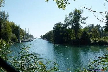 15 ha Gundstück am Balaton – mit variablen Nutzungsmöglichkeiten für Investoren