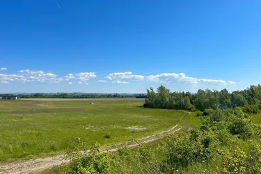 Baugrund für Unternehmen in Asten – Widmung MB, ideal für Ihre Betriebsansiedlung!