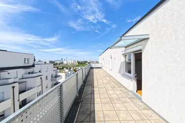 Geräumige 2-Zimmer-Wohnung mit Terrasse - NEU - Nähe Kagraner Platz (445)
