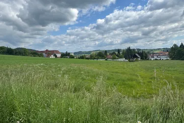 Einzigartiges Grundstück (ca. 9.000 m² davon ca. 7.500 m² Bauland) Feldbach - Nähe Kalvarienberg/LKH