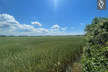 BETRIEBSGEBIET-GRUNDSTÜCK IN HAGENBRUNN!