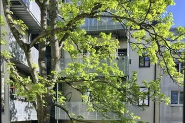 Moderne Singlewohnung mit großem Balkon - sanierter Altbau - 1170 Wien