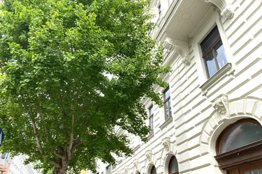 SCHICKE ALTBAUWOHNUNG MIT MODERNEM WOHNKOMFORT - ERSTBEZUG NACH SANIERUNG