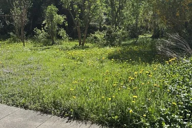 Gemütliche Garconniere in perfekter Lage in Pradl