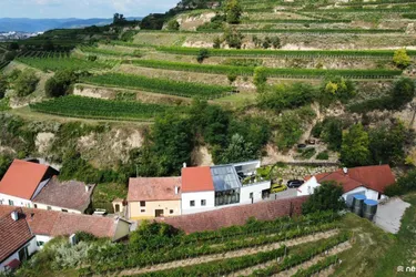 Einzigartige Liegenschaft in der Wachau | Ausgebautes Weinkeller-Loft mit WOW-Faktor