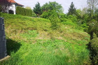 Traumhaftes Baugrundstück in begehrter Ruhelage von Klosterneuburg