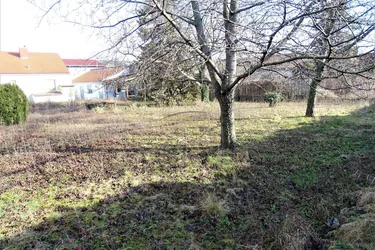 2231m² Baugrund in Schwechat-Mannswörth