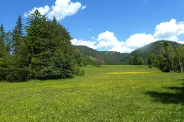 Natur pur im Schneebergland 15.000 m2 Eigengrund mit ca. 3.500 m2 Bauland