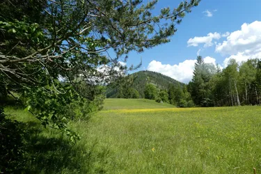 Traumhafte Liegenschaft im Schneeberg-/Raxgebiet 15.000 m2 Eigengrund (Baugrund, Grünland, kleiner Forst)