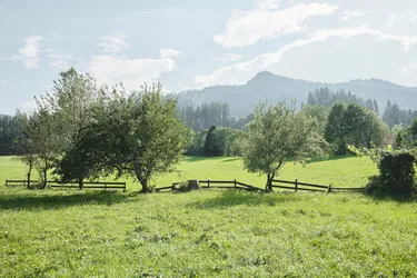 Großzügiges Grundstück mit idyllischer Aussicht in vorteilhafter Lage von Wörgl I Bezirk Kufstein für Wohnen und Gewerbe