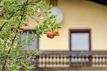 „Herbstapfel“ – XL-Einfamilienhaus mit genehmigter Erweiterung