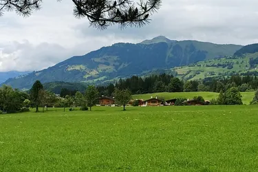 Grundstück mit Altbestand in Aurach zu verkaufen 