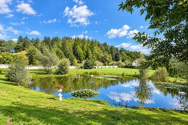 EIN HOTEL MIT EIGENEM TEICH, weitläufigem Grundstück und Gästen, die gerne wiederkommen