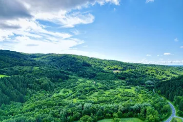 Naturparadies in Alleinlage: Exklusives 227.000m2 Grundstück für visionäre Entwickler (Hotelanlage, Ferienimmobilien, Reit- bzw. Sportzentrum)