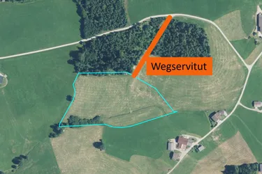 Landwirtschaftliche Flächen in Hopfgarten