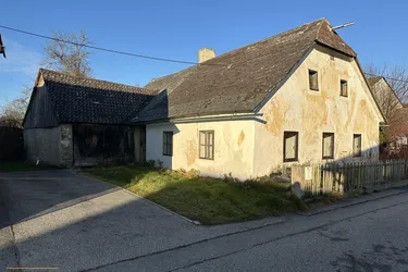 Einfamilienhaus mit großem Garten