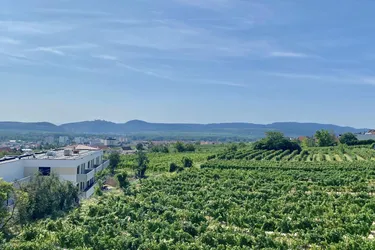 Neubau Erstbezug Sonnige Drei Zimmer Wohnung mit geräumiger Außenfläche und Fernblick