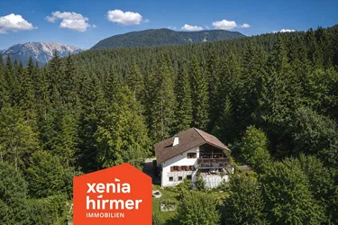 Dein neues Zuhause - Hoch droben im Walde