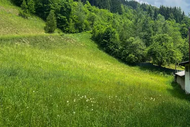Sonniges Hanggrundstück für individuelle Wohnideen
