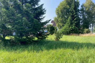 Naturnahes Grundstück in Koblach!