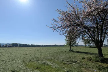 Grundstück in Traumlage - Pfaffstätt / Mattighofen