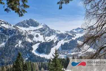 Die JAHRHUNDERT-GELEGENHEIT Hotelgesellschaft am Nassfeld!