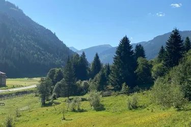 Traumhaftes Bauland neben dem Skigebiet Riesneralm in Donnersbachwald!