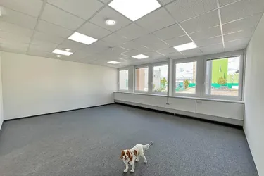 OLIVIA, Ihre ideale Büro-Lager Kombination in Inzersdorf