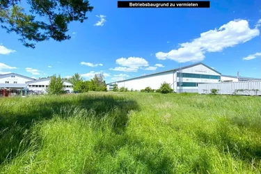 10.000m2 Betriebsbaugrund zu vermieten - ab sofort verfügbar!